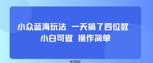 小众蓝海玩法 一天搞了四位数 小白可做 操作简单| 副业网