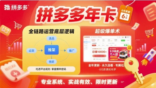 拼多多年卡【8月更新6节】拼多多全链路运营底层逻辑，超级爆单术| 副业网