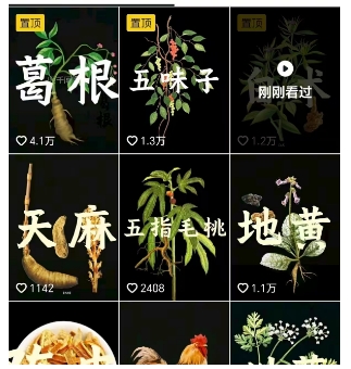 图片[2]| 抖音中草药赛道，用AI做中草药故事视频，45条作品涨粉13W，橱窗带货猛猛出单| 网创圈