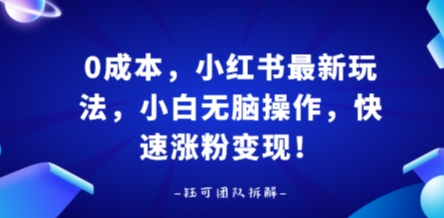 0成本，小红书最新玩法，小白无脑操作，快速涨粉变现| 网创圈
