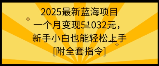 2025最新蓝海项目一个月变现1w+新手小白也能轻松上手【附全套指令】| 副业网