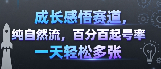 成长感悟赛道，纯自然流，百分百起号率 一天轻松多张| 副业网
