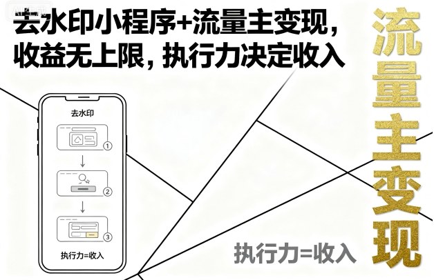 去水印小程序+流量主变现，收益无上限，执行力决定收入| 网创圈