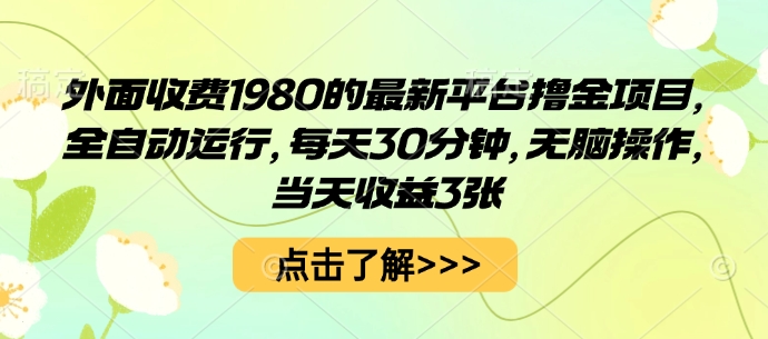 外面收费1980的最新平台撸金项目，全自动运行，每天30分钟，无脑操作，当天收益3张【揭秘】| 副业网
