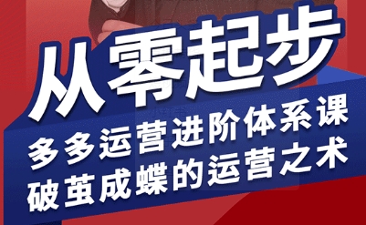拼多多运营进阶系统课，从零起步，多多运营进阶体系课，破茧成蝶的运营之术(更新9月)| 副业网