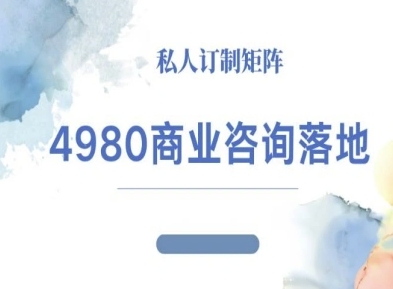4980商业咨询师落地课程-ip运营高客单教程| 副业网