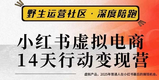 小红书虚拟电商14天变现训练营3.0，​虚拟产品，2025年普通人在小红书最后的搞钱机会| 副业网