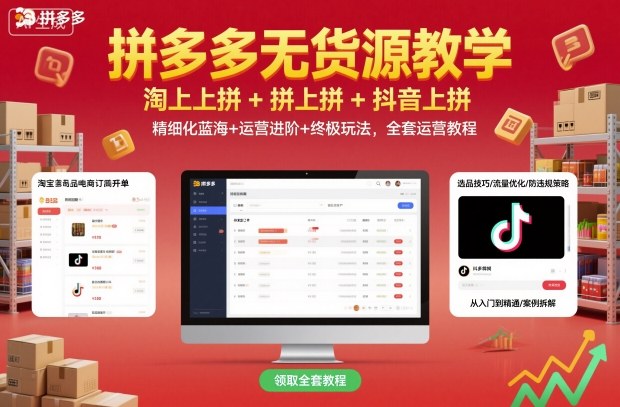 拼多多无货源教学，淘上拼+拼上拼+抖上拼，精细化蓝海+运营进阶+终极玩法，全套运营教程| 副业网