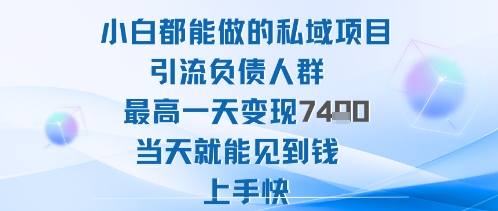 2025年小白都能做的私域项目引流负债人群最高一天变现1k+高变现难度低当天就能见到钱上手快| 副业网