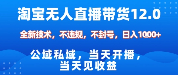 淘宝无人直播12.0，公域私域技术，不封号，不违规布局双十一流量风口，日入1k(独家技术)【揭秘】| 副业网