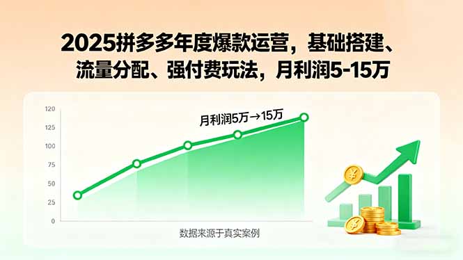 2025拼多多年度爆款运营，基础搭建、流量分配、强付费玩法，月利润5-15万| 副业网