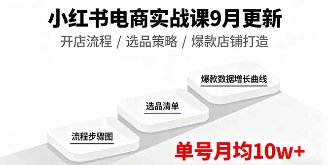 小红书电商实战课9月更新，开店流程/选品策略/爆款店铺打造，单号月均10w+| 网创圈