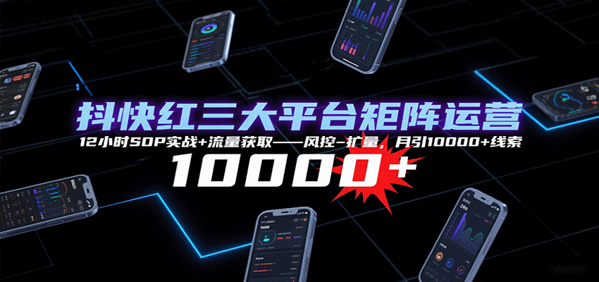 抖快红三大平台矩阵运营，12小时SOP实战+流量获取-风控-扩量，月引10000+线索| 副业网