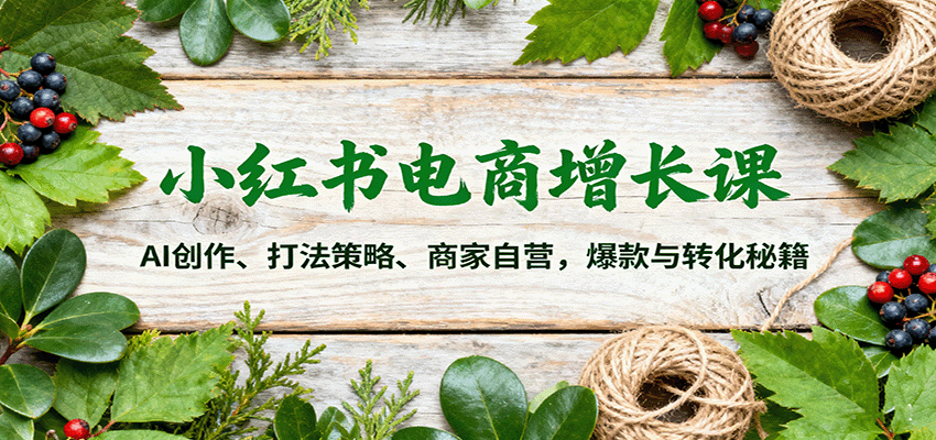 小红书电商增长课：AI创作、打法策略、商家自营，爆款与转化秘籍| 副业网
