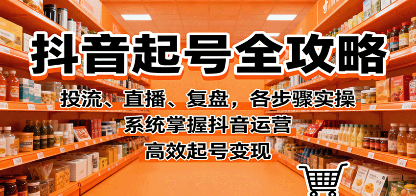 抖音起号全攻略，投流、直播、复盘，各步骤实操，系统掌握抖音运营，高效起号变现| 副业网