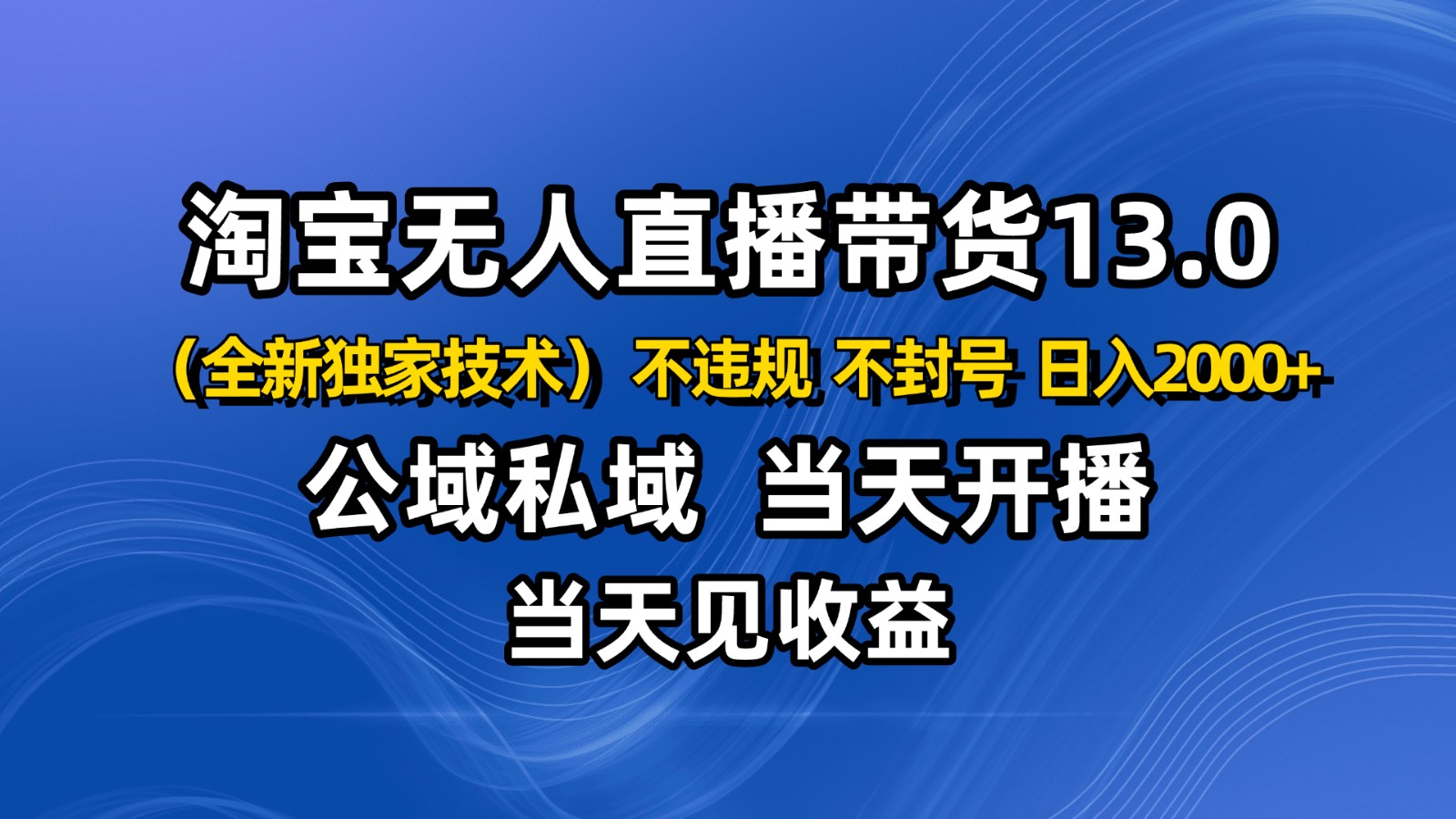 淘宝无人直播13.0，公域私域技术，不封号，不违规 布局下半年旺季赛道，日入2000+| 副业网