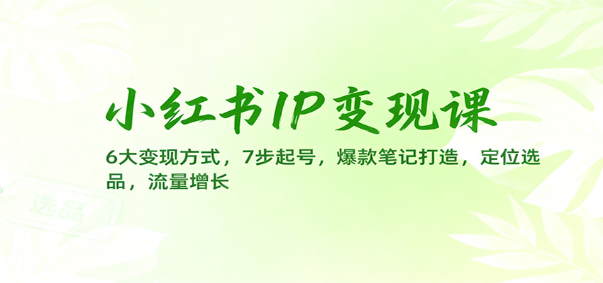 小红书IP变现课：6大变现方式，7步起号，爆款笔记打造，定位选品，流量增长| 副业网