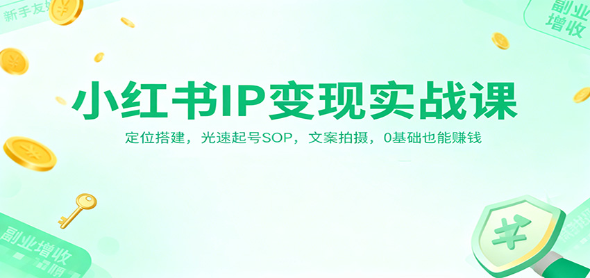 小红书IP变现实战课：定位搭建，光速起号SOP，文案拍摄，0基础也能赚钱| 副业网