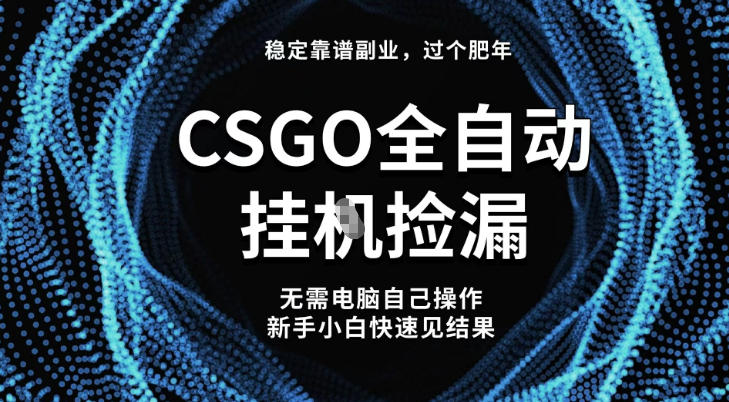 【稳定副业】全球最热门游戏CSGO全自动捡漏，最新玩法，新手小白日入5张+【揭秘】| 副业网