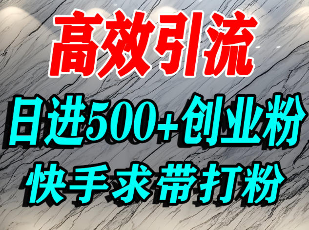 怎么打创业粉？快手求带视角精准引流创业粉，宝妈、学生群体日进500+精准流量| 副业网