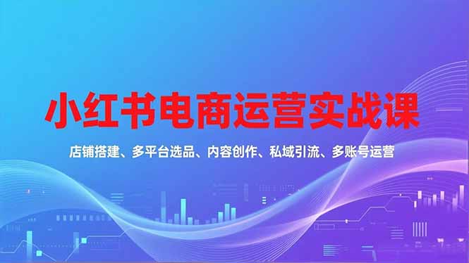 小红书电商运营实战课，店铺搭建、多平台选品、内容创作、私域引流、多账号运营等玩法| 副业网