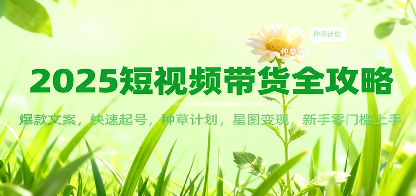 2025短视频带货全攻略：爆款文案，快速起号，种草计划，星图变现，新手零门槛上手| 副业网