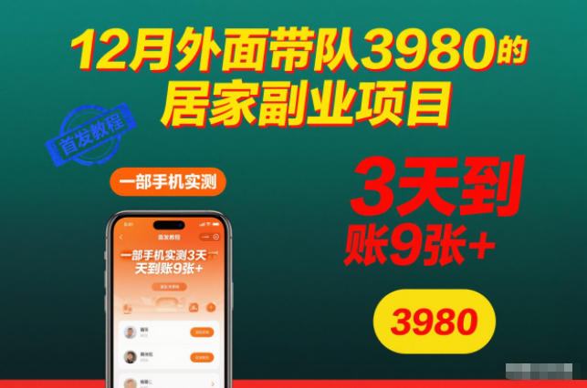 12月外面带队3980的居家副业项目，一部手机实测3天到账9张+，首发教程【揭秘】| 副业网