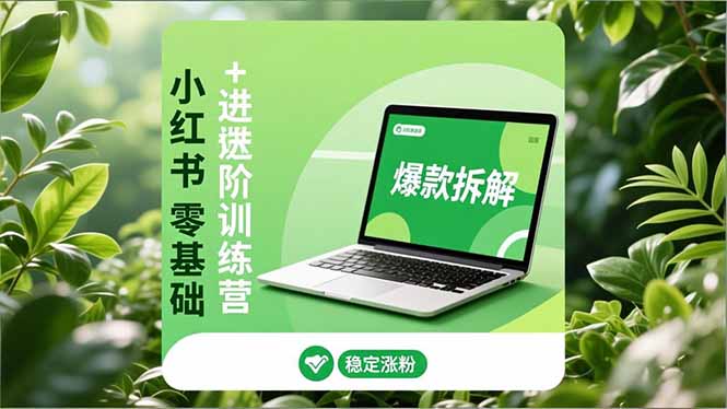小红书零基础+高阶训练营：安全养号、爆款拆解、长效运营，实现稳定涨粉与变现| 副业网
