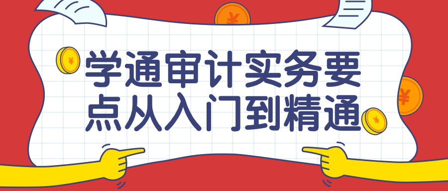 学通审计实务要点从入门到精通课| 副业网
