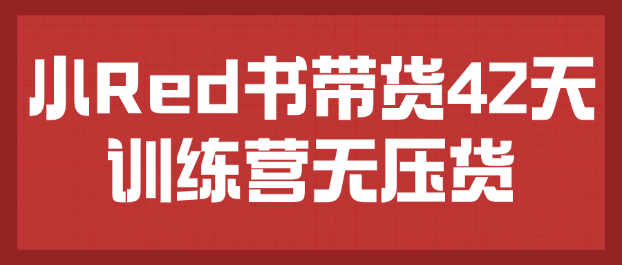 小Red书带货42天训练营无压货| 网创圈
