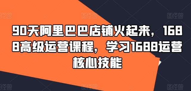 1688高级运营课 学习核心技能| 网创圈