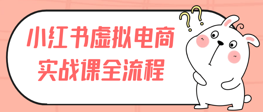 小红书虚拟电商实战课全流程| 网创圈