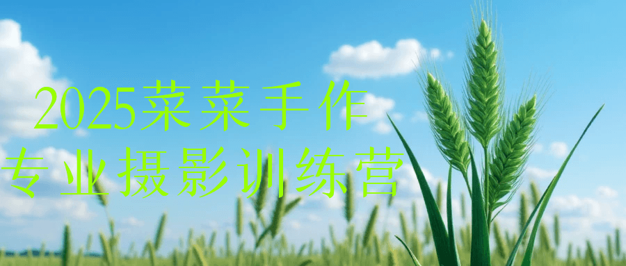 2025菜菜手作专业摄影训练营| 副业网