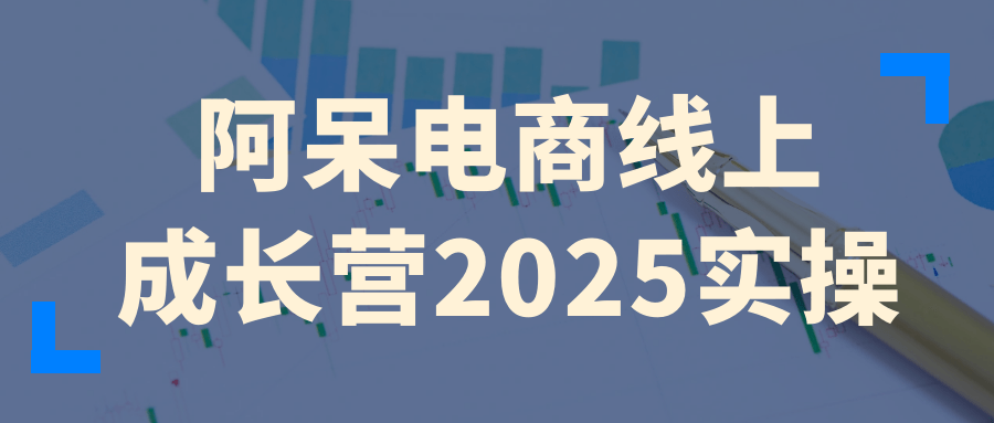 阿呆电商线上成长营2025实操| 副业网