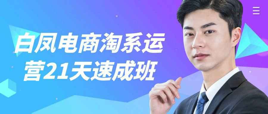 白凤电商淘系运营21天速成班| 副业网