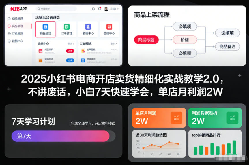 2025小红书电商开店卖货精细化实战教学2.0，不讲废话，小白7天快速学会，单店月利润2W| 副业网