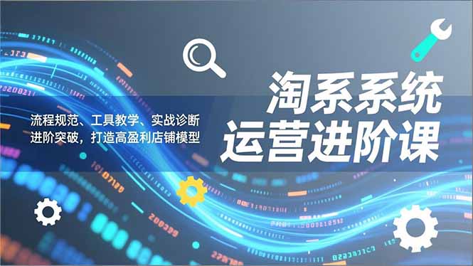 淘系系统运营进阶课2.0，流程规范、工具教学、实战诊断，进阶突破，打造高盈利店铺模型| 副业网