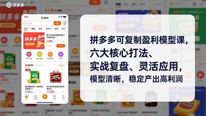 拼多多可复制盈利模型课，六大核心打法、实战复盘、灵活应用，模型清晰，稳定产出高利润| 副业网