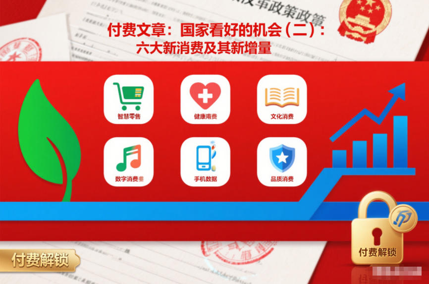 付费文章：国家看好的机会(二)：六大新消费及其新增量| 副业网