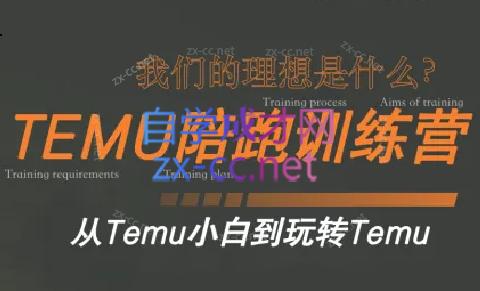 苗苗·拼多多跨境（temu）课程| 副业网
