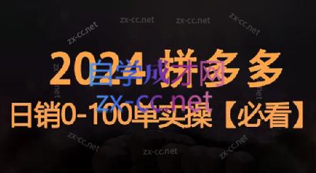 恒哥·2024拼多多日销0-100单实操| 副业网