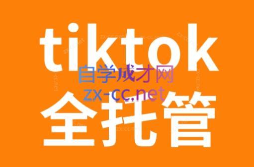 TikTok跨境电商全托管运营模式精品课| 副业网