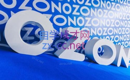 森哥·出海俄罗斯电商实操(2024)| 副业网