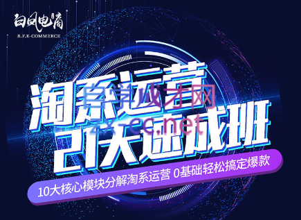 淘系运营21天速成班(更新24年5月)| 副业网