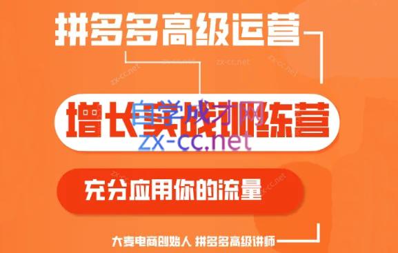 大麦老师·拼多多单品爆款打造课程(更新6月)| 副业网