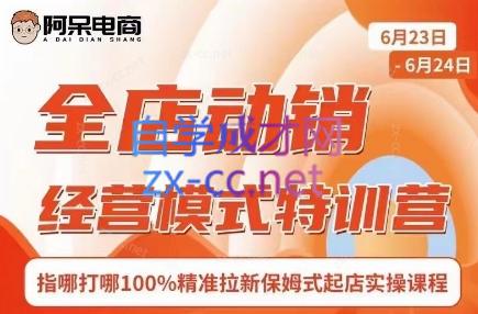 阿呆电商·全店动销经营模式特训营(线下录音+思维导图)| 副业网