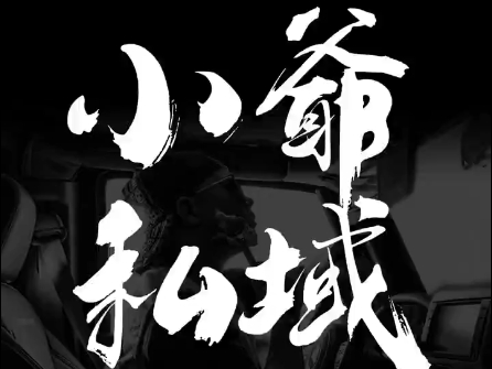 小爷·私域项目操盘手| 副业网