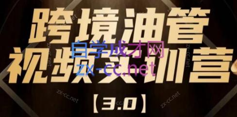 阿蔺Leo·跨境油管视频YouTube实训营(更新2025)| 副业网
