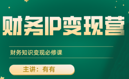有有老师·财务IP变现营，财务知识变现必修课| 副业网