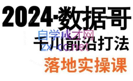 数据哥·2024年千川前沿打法落地实操课| 副业网